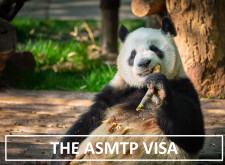 ASMTP Visa